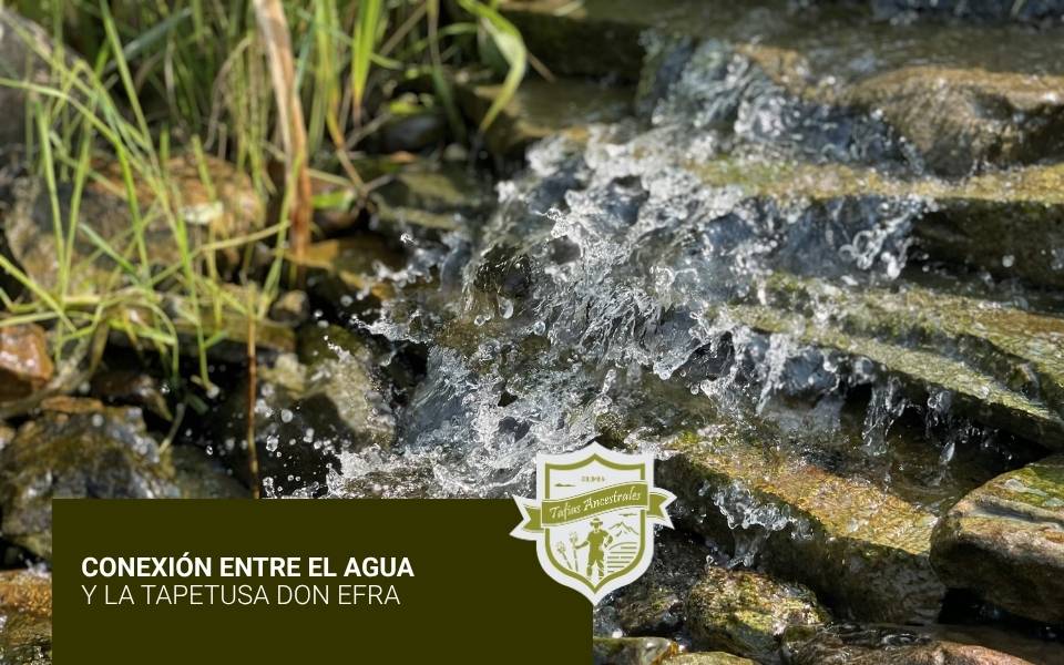 Conexión entre el agua y la Tapetusa Don Efra