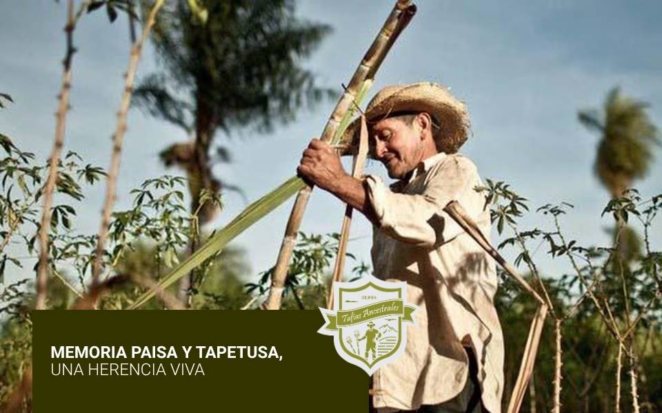 Memoria paisa y tapetusa, una herencia viva